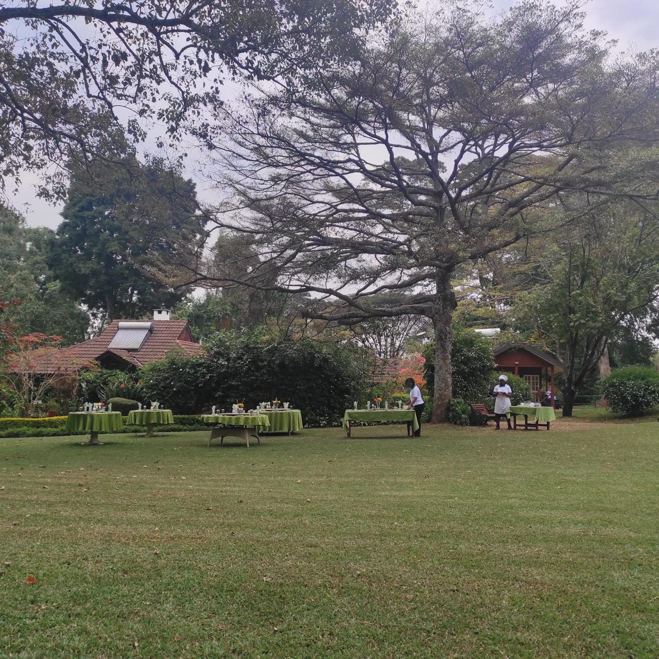 Celebrations at Fairseat